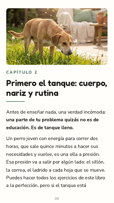 Apertura del capítulo 2: Primero el tanque — cuerpo, nariz y rutina