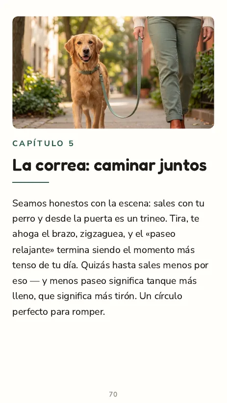 Apertura del capítulo 5: La correa, caminar juntos