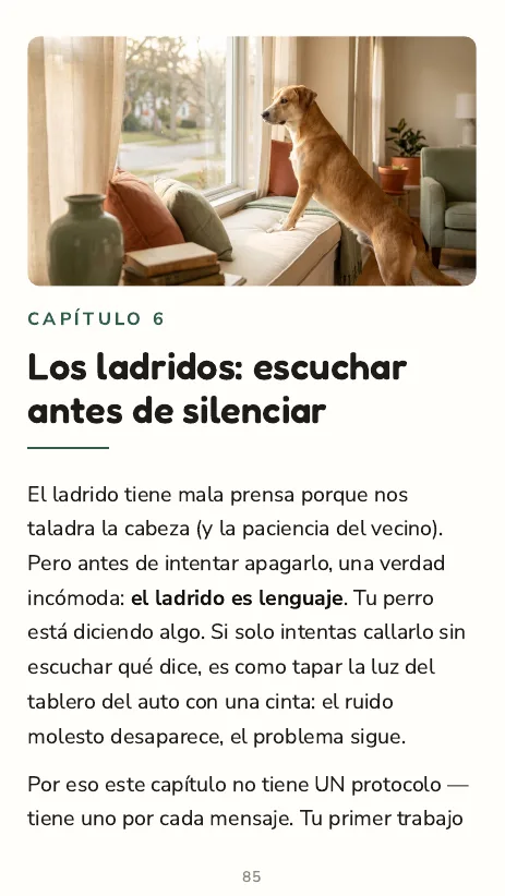Apertura del capítulo 6: Los ladridos, escuchar antes de silenciar