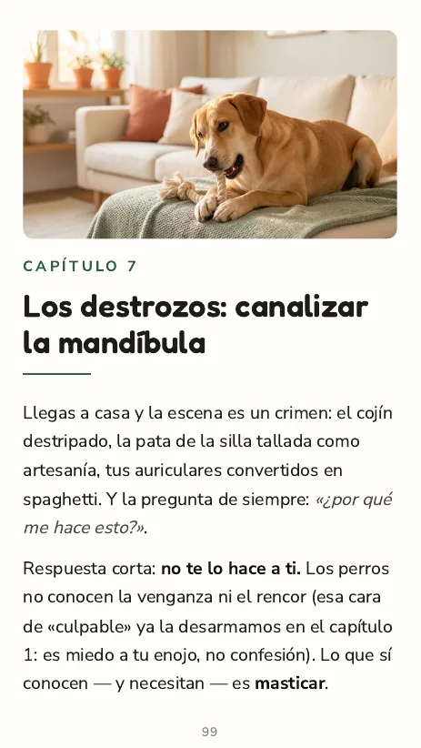 Apertura del capítulo 7: Los destrozos, canalizar la mandíbula